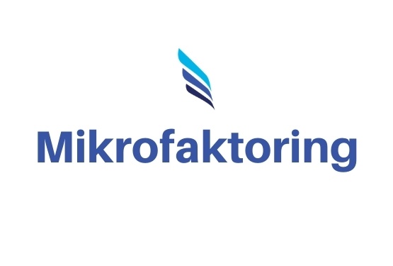 Mikrofaktoring definicja